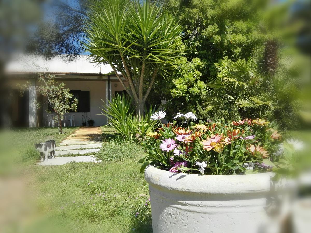 Missipezza Residence A Frassanito Alimini Extérieur photo